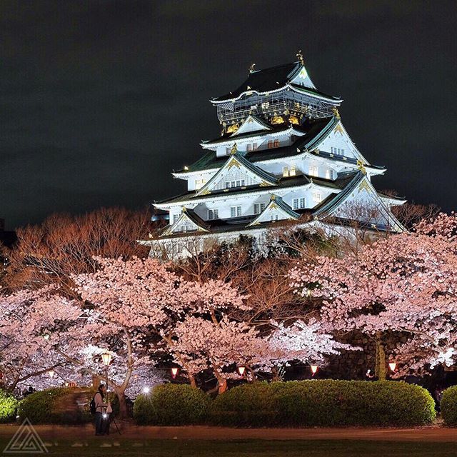 Aujourd’hui les cerisiers étaient parfait devant le château d’Osaka