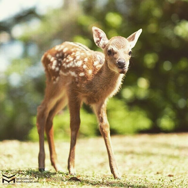 La rencontre choupi du jour !