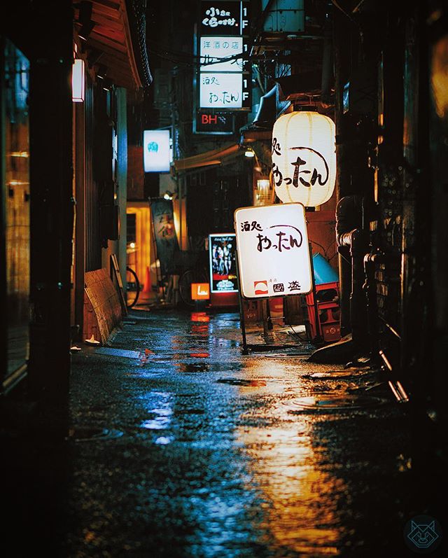 La Nuit Sous La Pluie