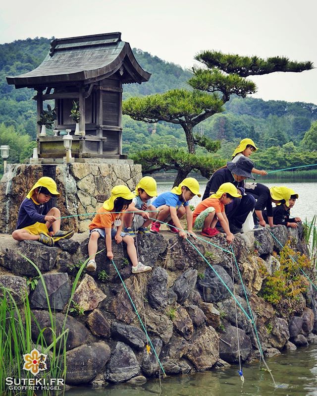 Classe verte ! #japon #kyoto #kyotosafari