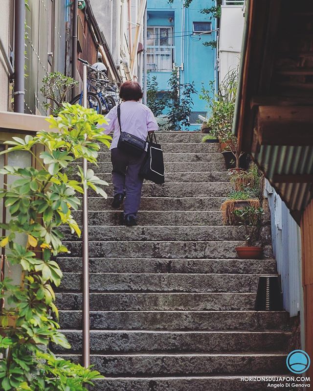 Pendant un Osaka Safari on découvre plein de Japon différents, surtout ceux qu’on n’imagine même pas en plein cœur de la métropole d’Osaka.