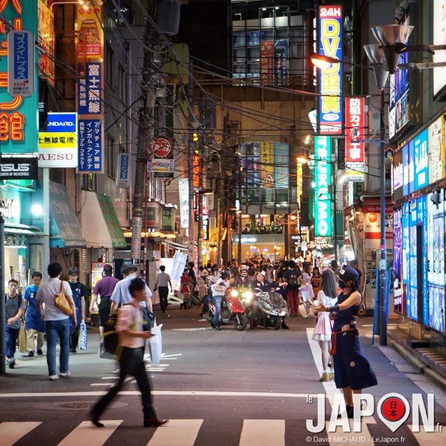 Vous ne rêvez pas ! Il y a bien des Ninja dans les rues de Tokyo !😱 #Tokyo #TokyoSafari #Japan
