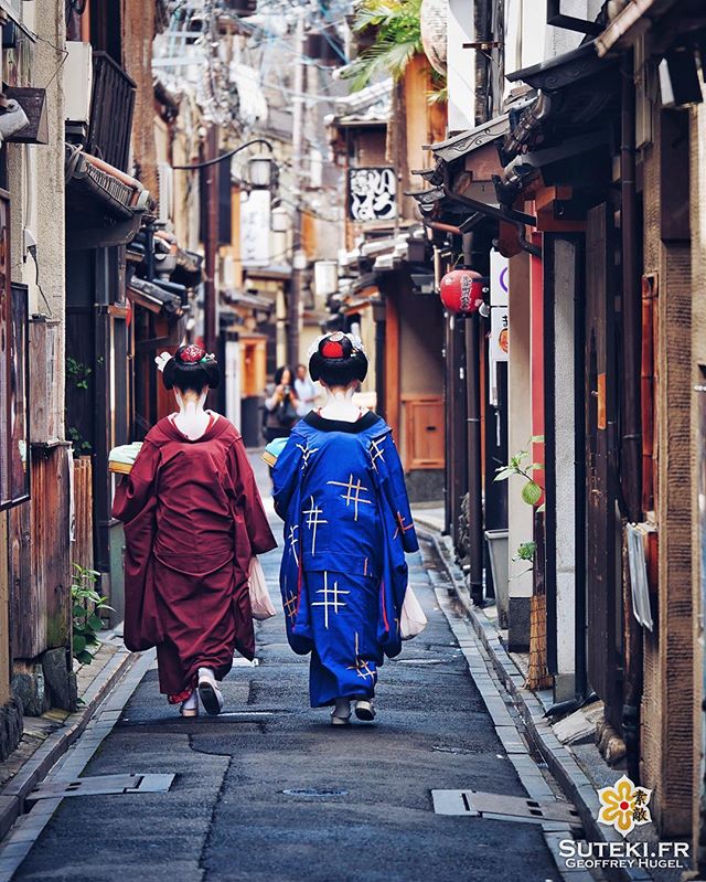 Rencontre matinale #japon #kyoto