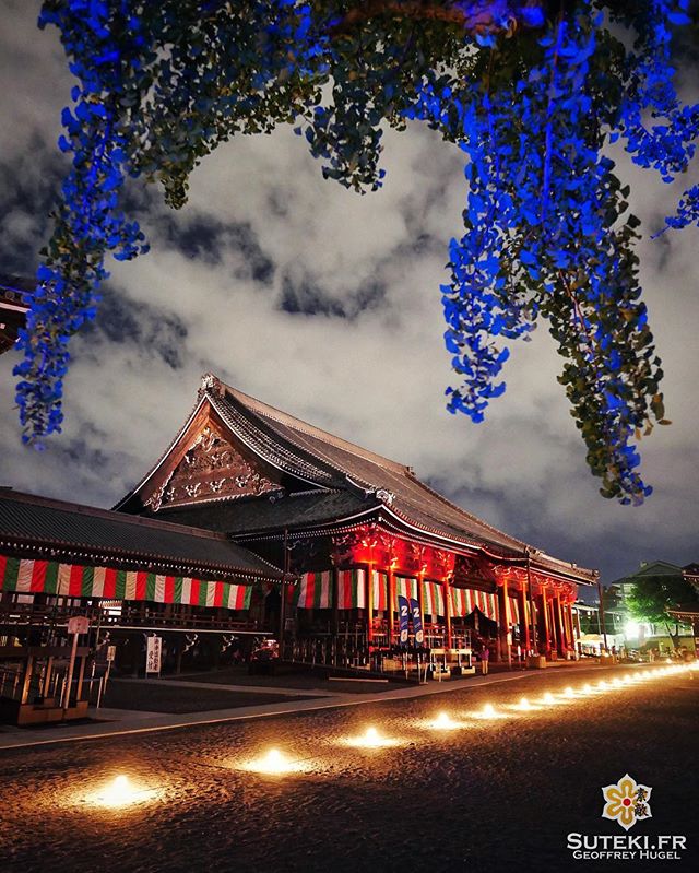 Encore un nouveau light up à se mettre sous la dent ! #japon #kyoto #kyotosafari