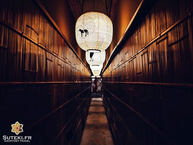 À la lueur des lanternes #japon #kyoto #kyotosafari