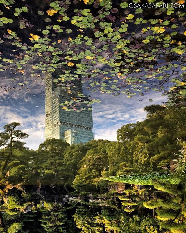 Balade à Osaka la tête en bas. (Photo postée la semaine dernière sur twitter et qui a été très appréciée. Je la partage aussi ici ^^)