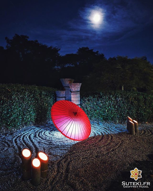 Blue Moon #japon #kyoto #kyotosafari