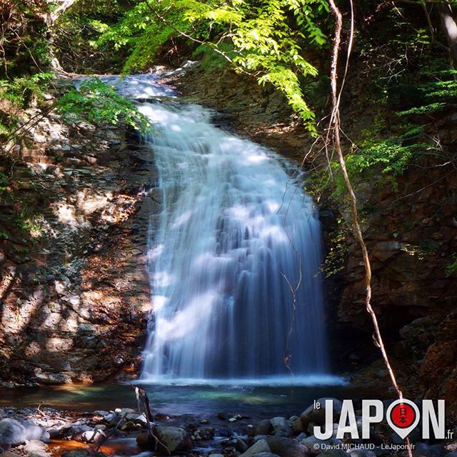 Si vous dormez à Nikko, ne manquez pas la vallée Ryuokyo et ses cascades ! #ryuokyo #falls