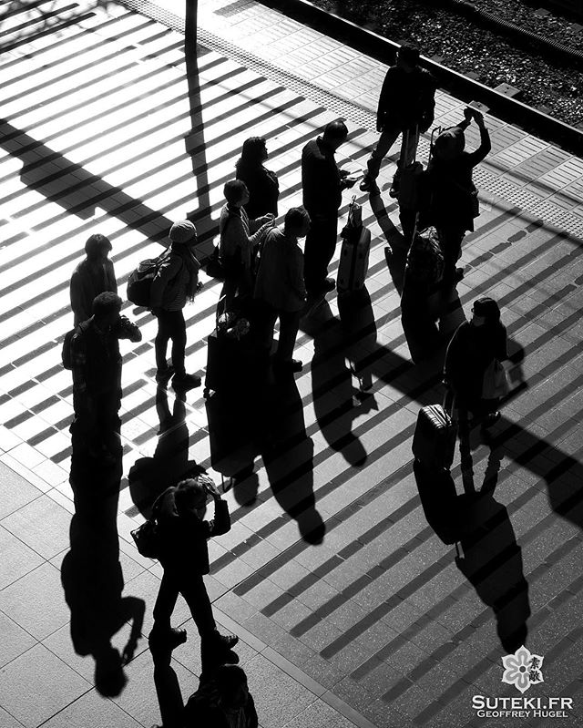 L’attente #japon #kyoto #kyotosafari