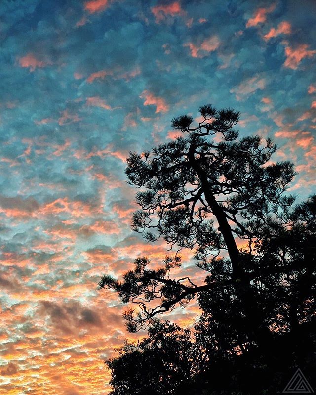 Les couleurs d’automne arrivent par le ciel – 空の紅葉 ?