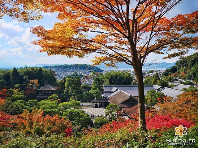 Automne d’Argent #japon #kyoto