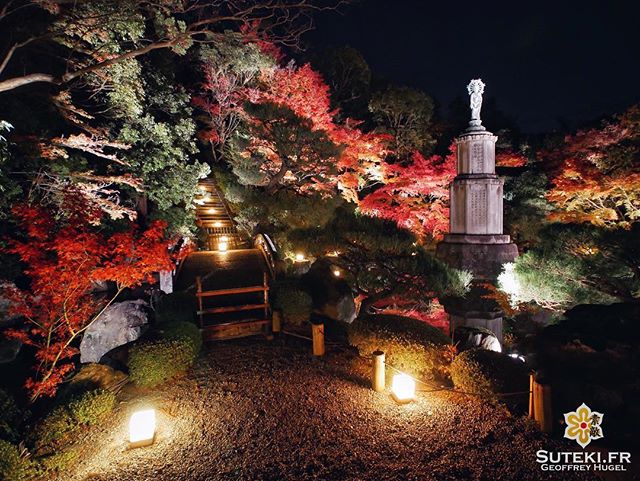 L’arrivée des momiji signe aussi le retour des light up ! #japon #kyoto