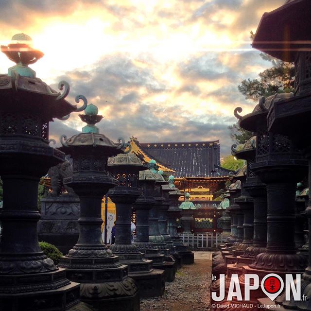 Toshogu à Ueno ! J’ai peut-être un chouïa abusé de l’HDR 🙄