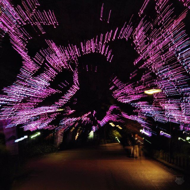 Ueno Hyperspace