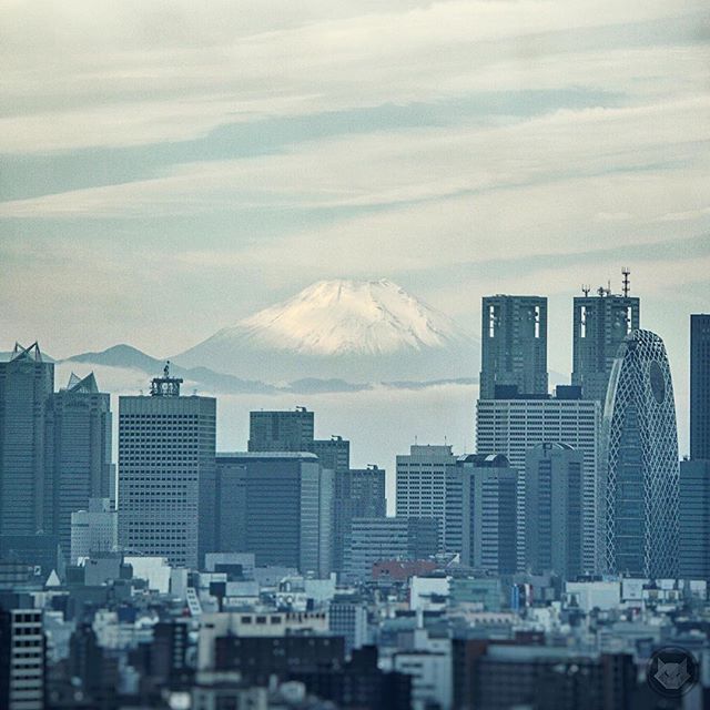 Le Fuji s’est montré aujourd’hui pour l’anniversaire de @loeildutako