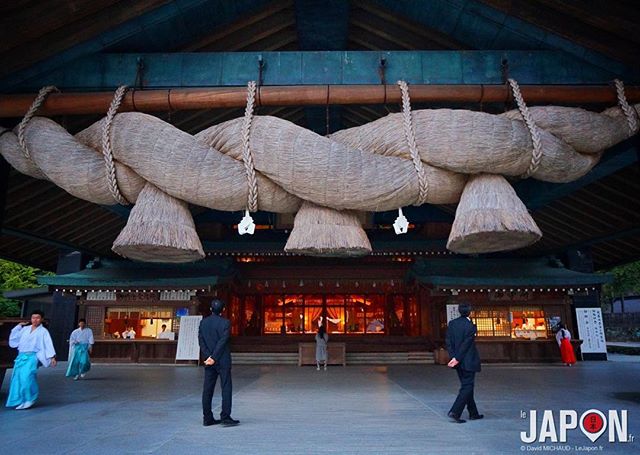 Izumo Taisha !🐉🐇 #izumo #izumotaisha