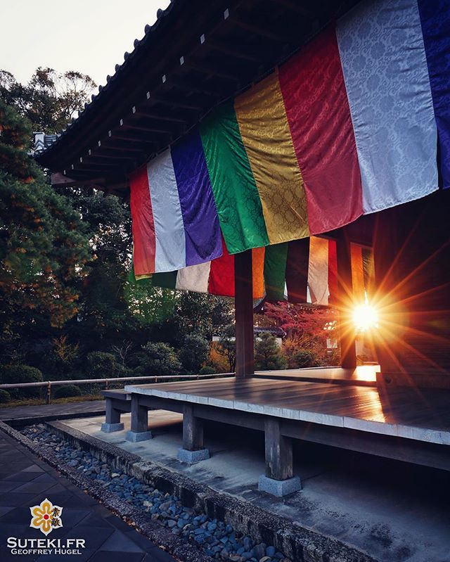 Derniers rayons de soleil #japon #kyoto