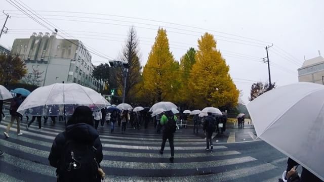 Aujourd’hui sur Yokohama on avait de la neige avec les feuilles d’automne… Difficile de rendre ça en photo, donc j’ai fait une petite vidéo, j’espère que vous aimerez 😉🍁❄️