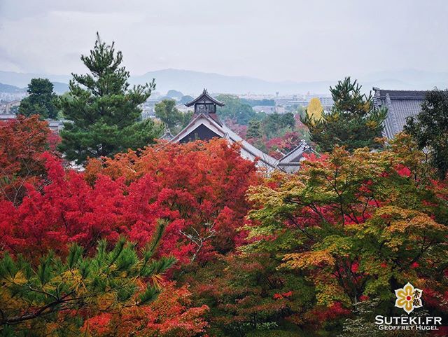 Plus de doutes, la saison est bien lancée !! #japon #kyoto