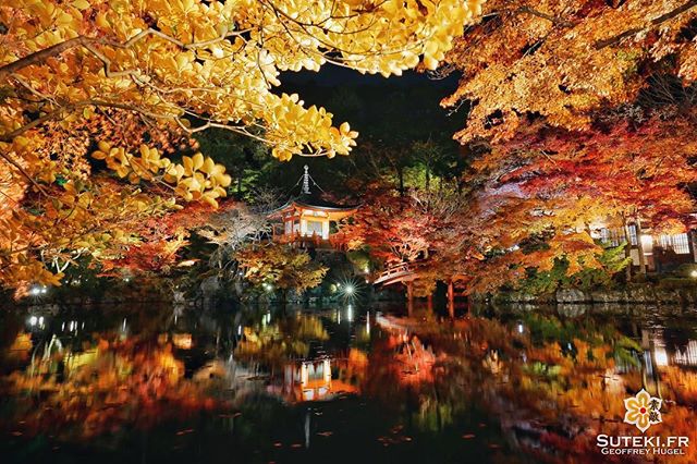 Kyoto et les momiji, c’est imbattable ! #japon #kyoto #kyotosafari