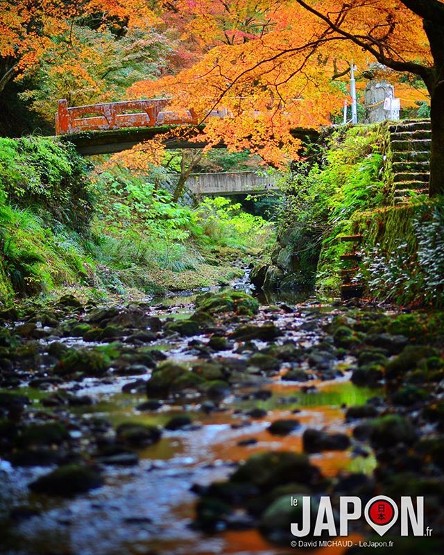 Une autre photo de Koyo (feuilles d’automne) à Gakuenji 😉🍁🍂🍃 #izumo #gakuenji