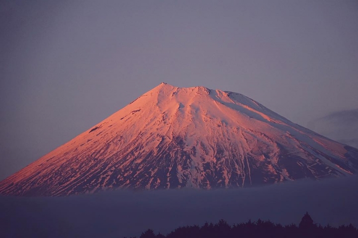 Bonne Nuit Monsieur Fuji