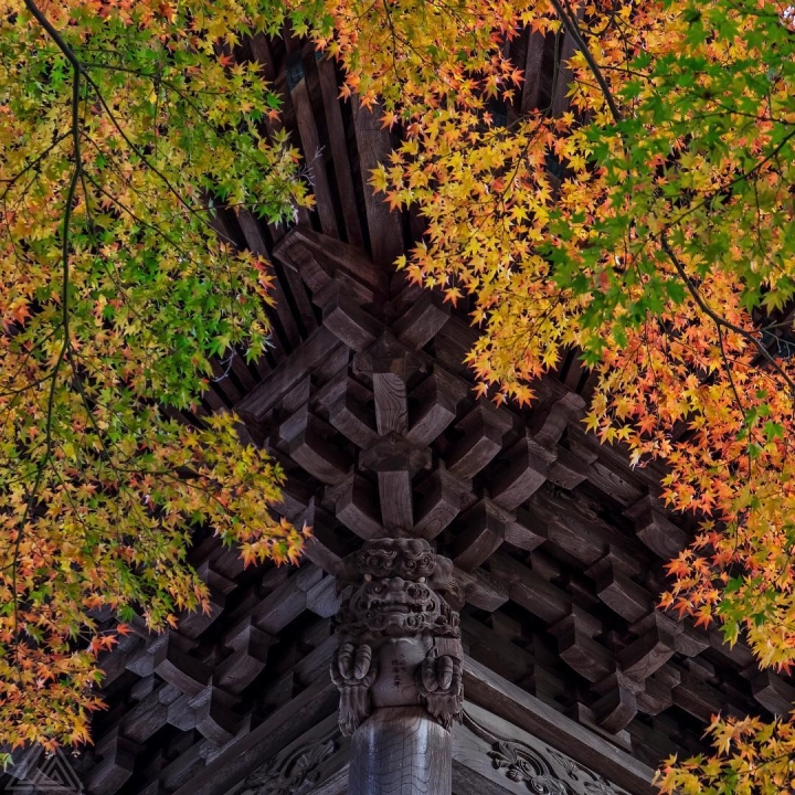 Entre les feuilles au temple Shuzenji dans la péninsule d’Izu