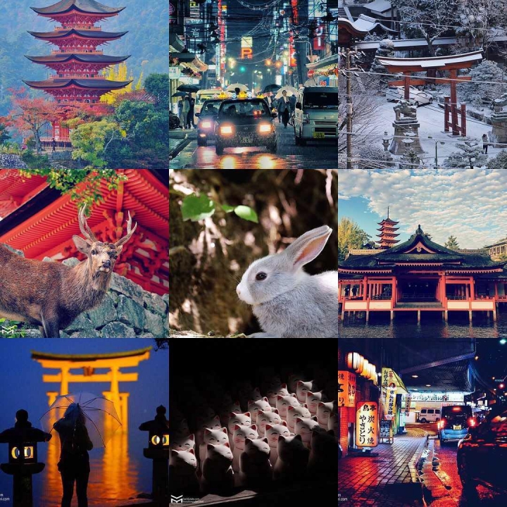#2016bestnine Le torii de #miyajima et des #chat . L’honneur est sauf 😬. Que La force soit avec vous en 2017 et menez à bien vos projets ! Bonne année ! 🐙🐔