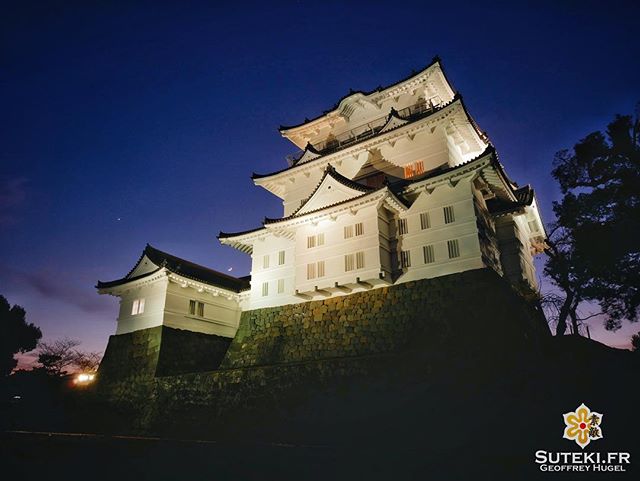 Un joli château à la tombée de la nuit @lejapon @loeildutako @horizonsdujapon @tanukitsuneko @hoxiong