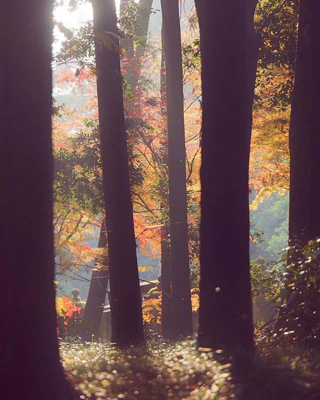 Une Journée au Paradis