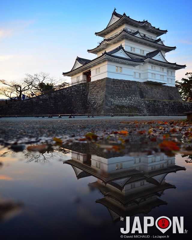 Château d’Odawara pour un Safari Team bonenkai avec @tanukitsuneko @horizonsdujapon @geoffsuteki @loeildutako @manikenoke 👍😄