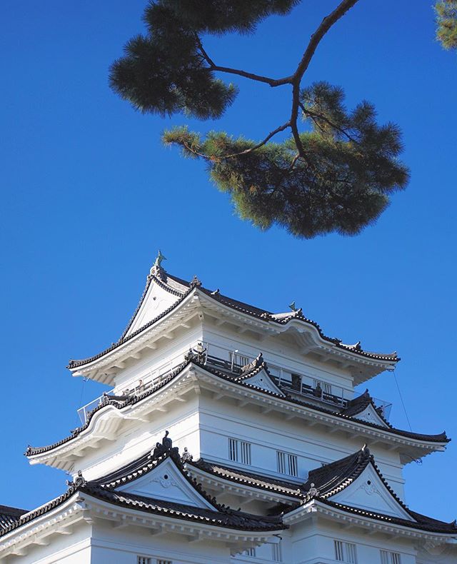 Bōnenkai à Odawara avec la team Japon Safari / @lejapon @loeildutako @horizonsdujapon @manikenoke @geoffsuteki