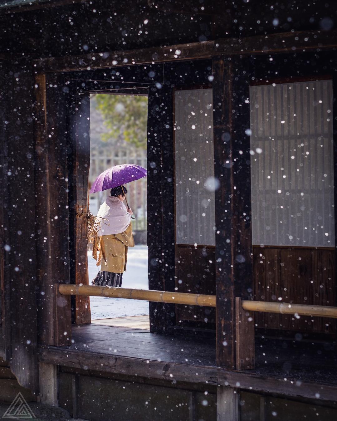 Des flocons au levé du jour, une invitation à la photographie ❄️