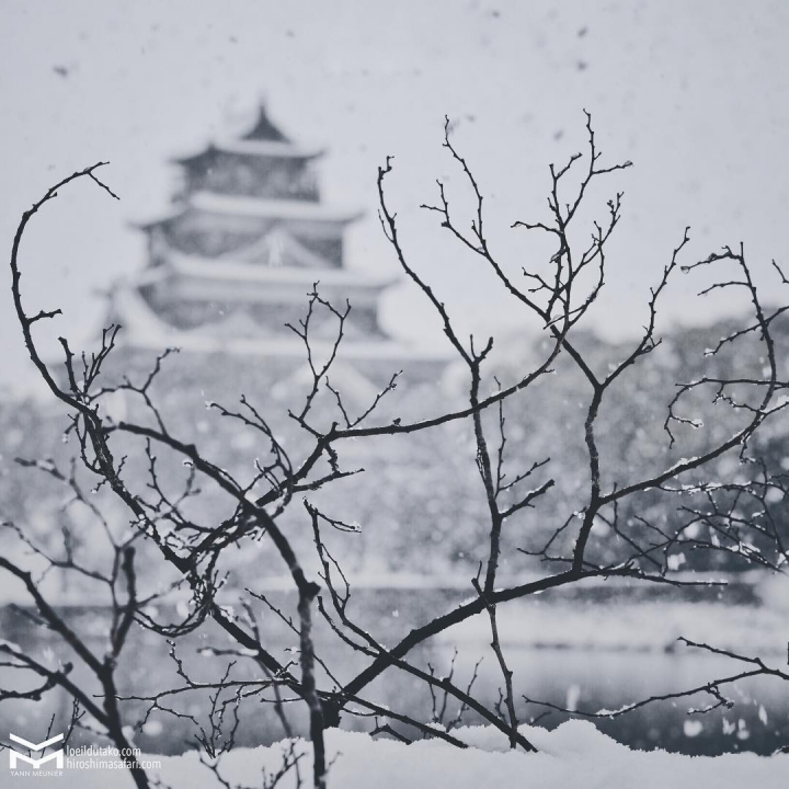 Le château d’Hiroshima hiver 2017.