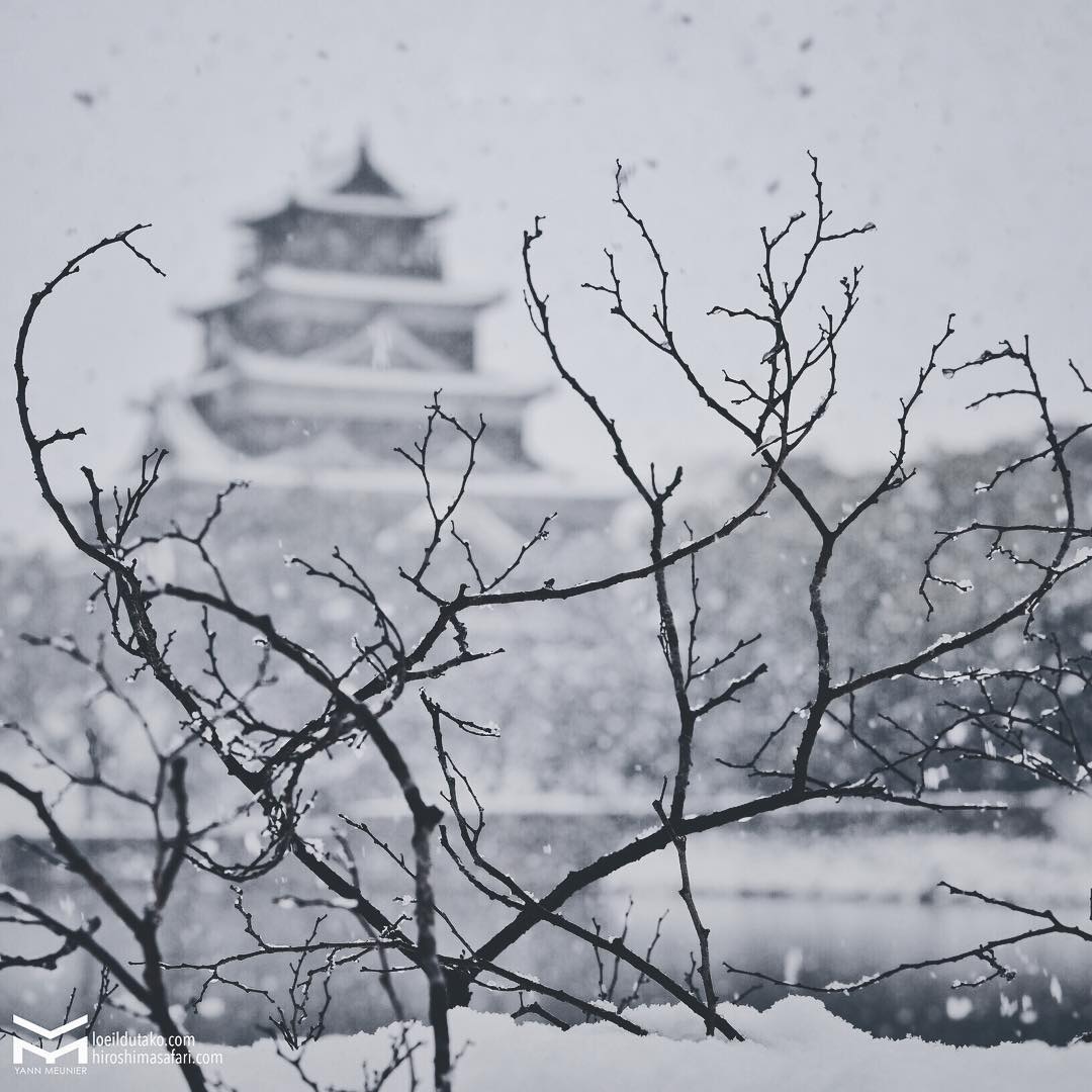 Le château d'Hiroshima hiver 2017.