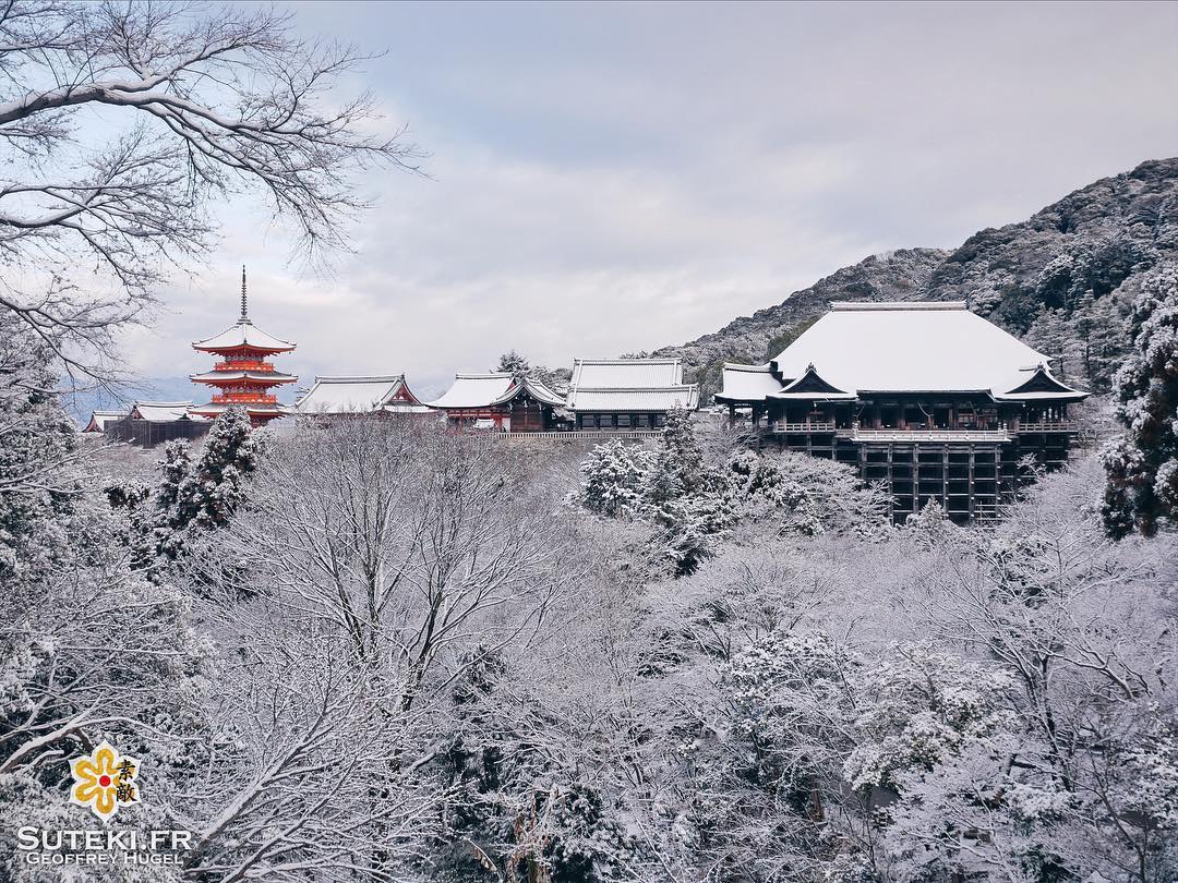 Un dernier tableau majestueux... #japon #kyoto