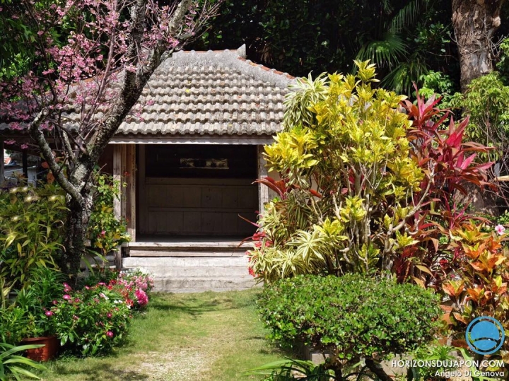 Ça transpire Okinawa :)