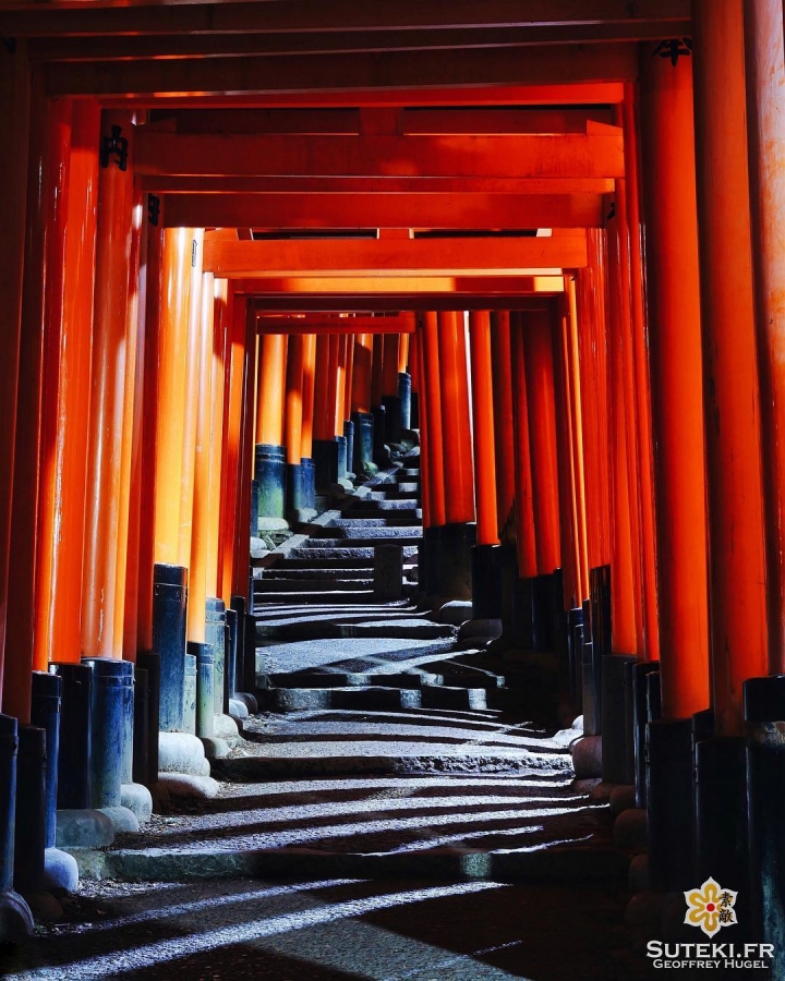 C’est peut-être encore plus esthétique la nuit #japon #kyoto