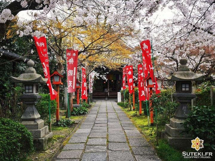 Les petits temples offrent également de jolies scènes durant les sakura #japon #kyoto #kyotosafari