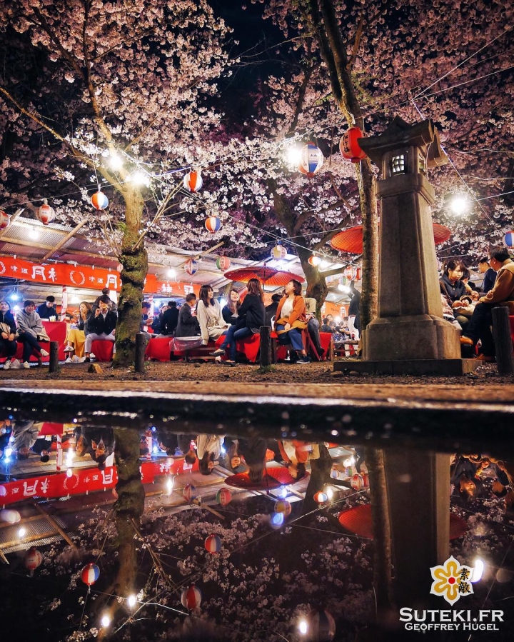 Hanami by Kyoto #japon