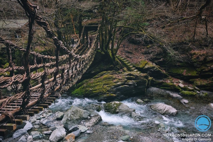 La vallée d’Iya et ses ponts de lianes