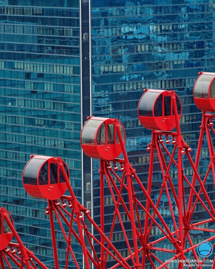 La roue tourne #osakasafari #japonsafari