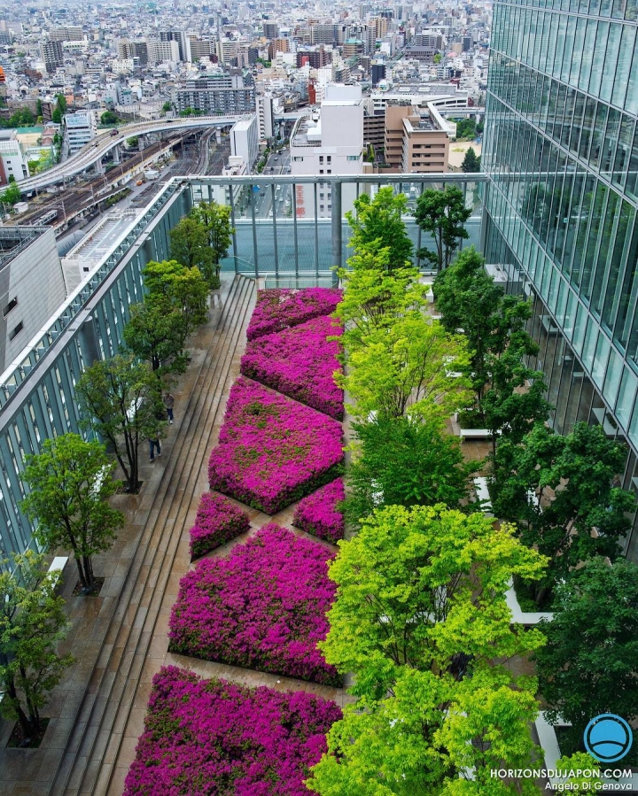 Les secrets d’Osaka sont bien gardés. Vous permettre de les apprivoiser c’est ma priorité :) #osakasafari