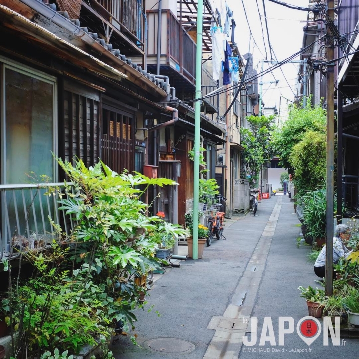 Tokyo est mon jardin ! Les « jardins devant la maison » de Tsukishima. Quartier que j’affectionnais pour les #TokyoSafari et qui disparaît sous les chenilles des pelleteuses en ce moment pour des JO de Tokyo 2020 « propres » sans vieux quartiers 😭