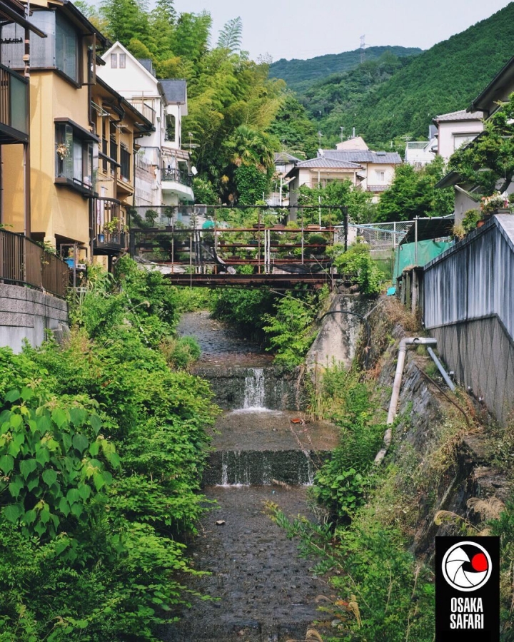 Une balade avec moi, c’est le meilleur moyen pour découvrir les facettes les plus secrètes d’Osaka #osakasafari #japonsafari