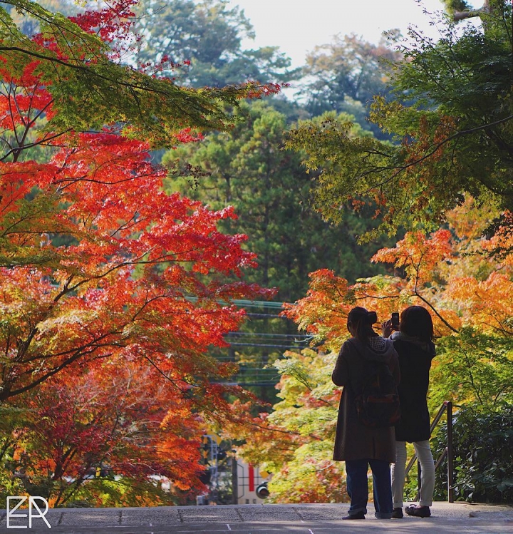 Peins-moi l’automne – Cette saison est particulièrement belle au Japon et douce au niveau des températures. Sans doute un des meilleurs moments pour venir visiter le pays du soleil levant ! :)