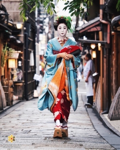 Grâce et légèreté dans le monde des fleurs et des sauges #japon #kyoto