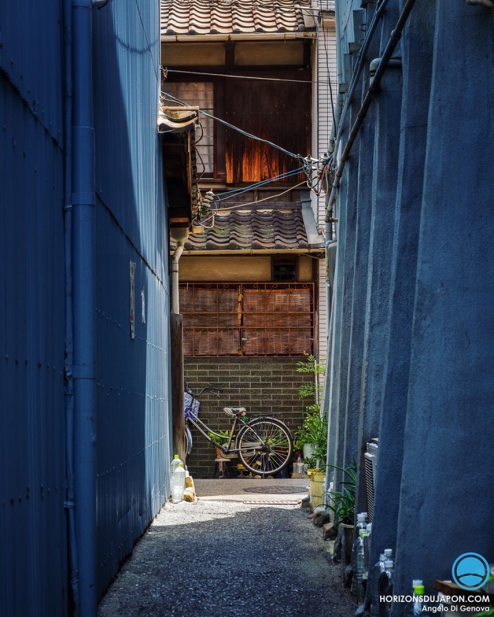 Il y a toujours quelque chose d’intéressant au bout du chemin 
#osaka #osakasafari #japonsafari