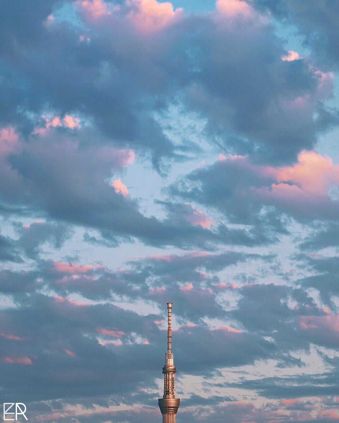 Tokyo Sky & Tree