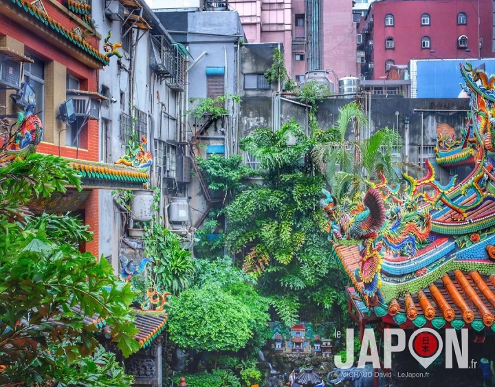 Taïpei : jungle urbaine, naturelle et spirituelle ! #TaiwanSafari #Taiwan #Taipei